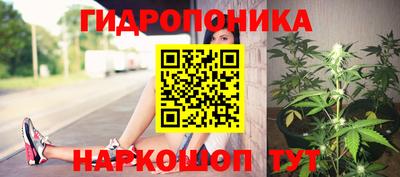 ALPHA PVP Обь