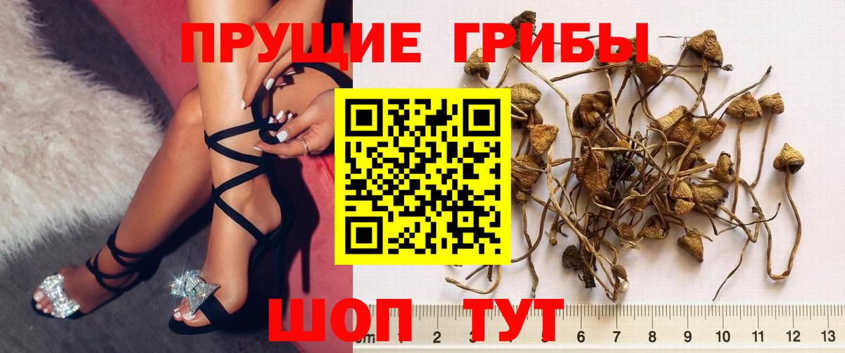Галлюциногенные грибы ЛСД  Вход с VPN  Электрогорск 